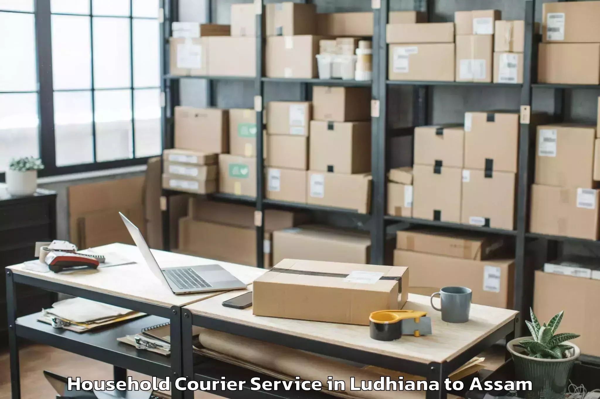 Ludhiana to Dhubri Household Courier Booking